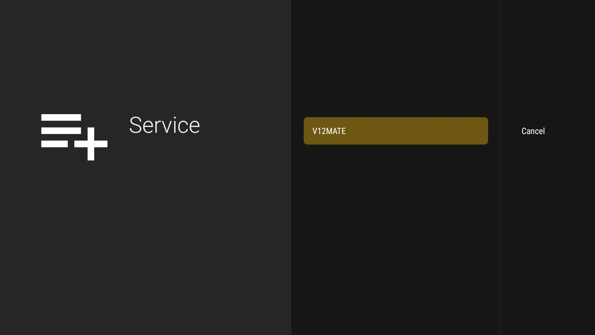 Select V12Mate as playlist type